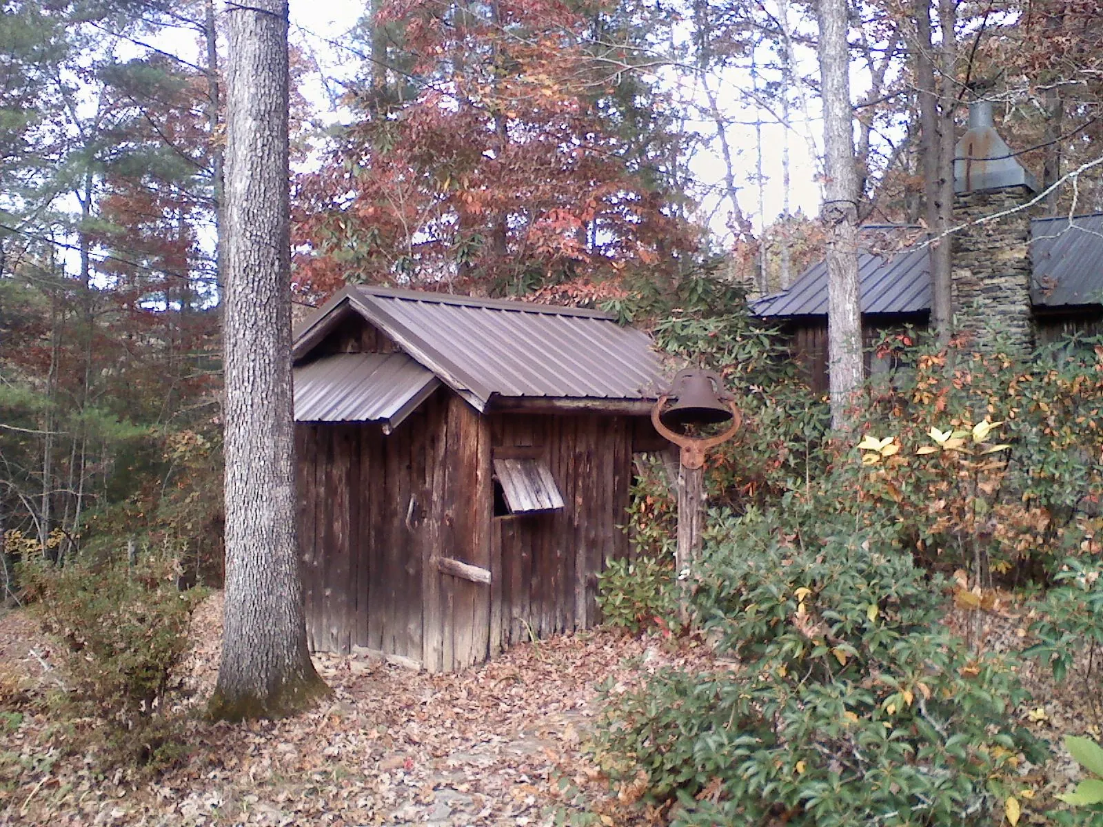 Small metal roof on a rough sawn shed in the woods in Winooski